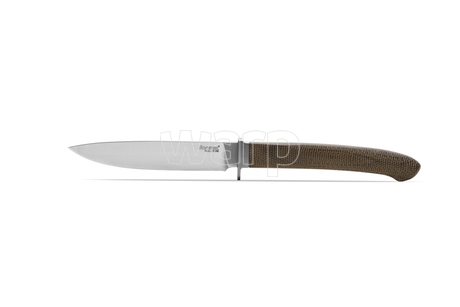 Lionsteel AG01 CVG 5